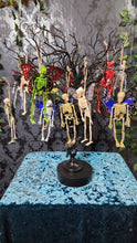 Load image into Gallery viewer, Mystery Skeleton Fairy