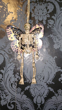 Load image into Gallery viewer, Mystery Skeleton Fairy